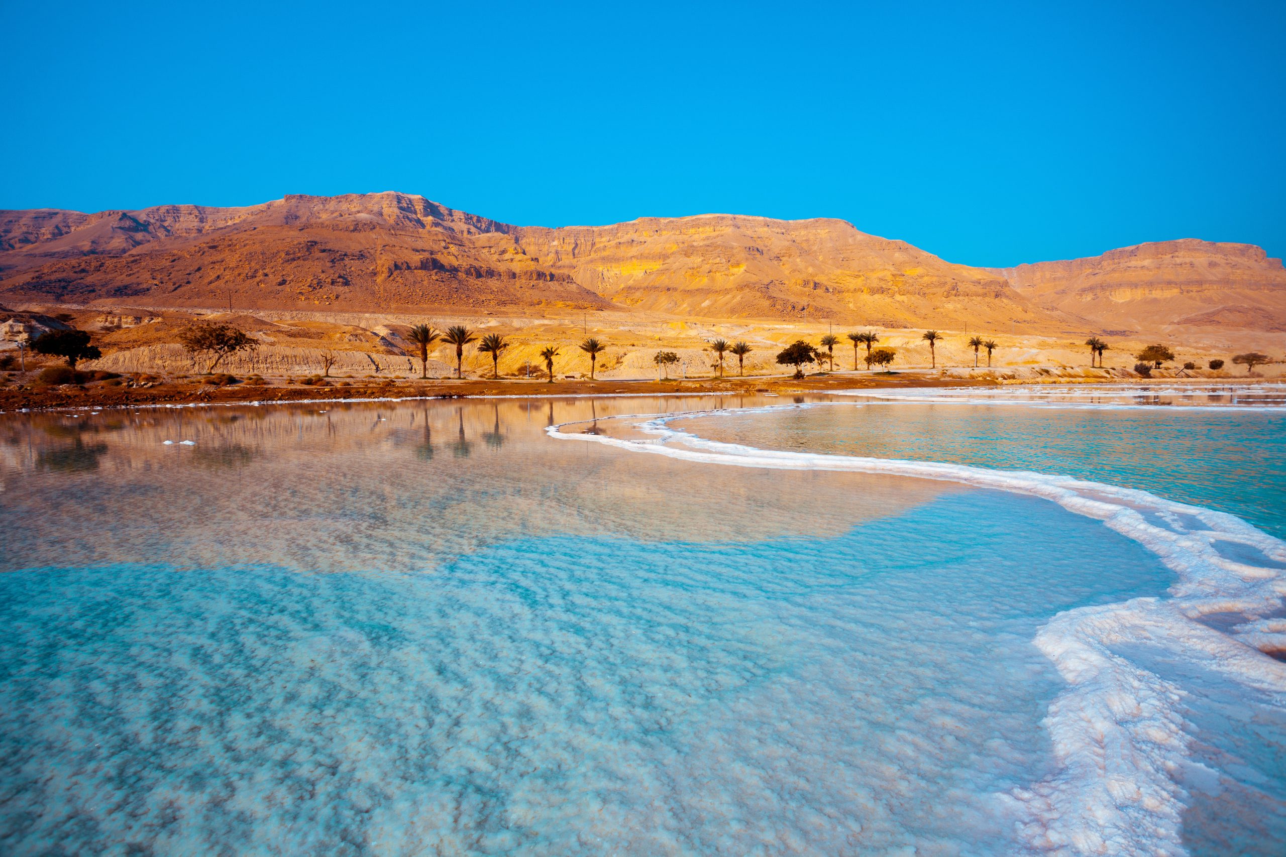 Dead Sea iStock 587203352